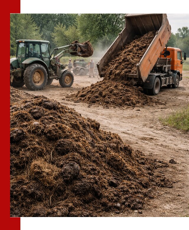 Доставка навоза самосвалами в Тынде для сельхозпотребностей